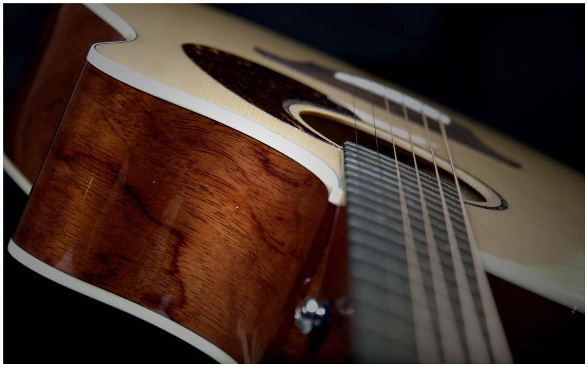 Breedlove Passport Plus acoustic guitar macro shot looking down fretboard toward the body