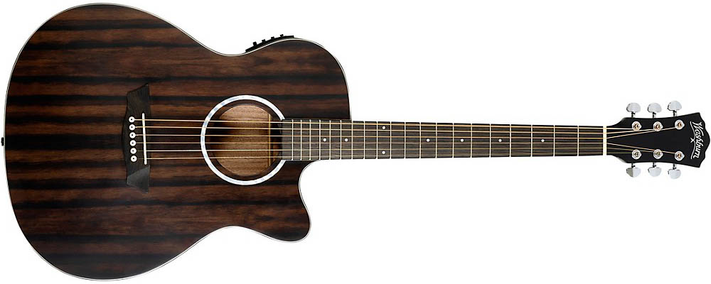 Washburn Deep Forest Acoustic Guitar