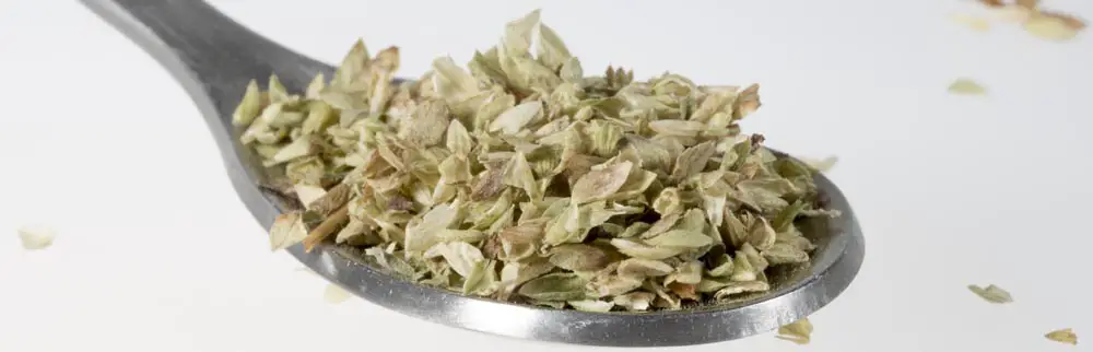 Dried Oregano on Tablespoon