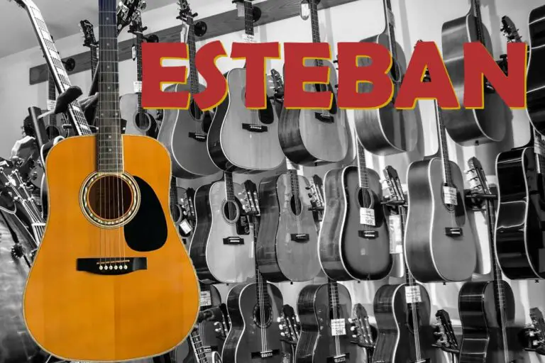 Esteban Guitars – Are They Good Quality & Worth Buying?