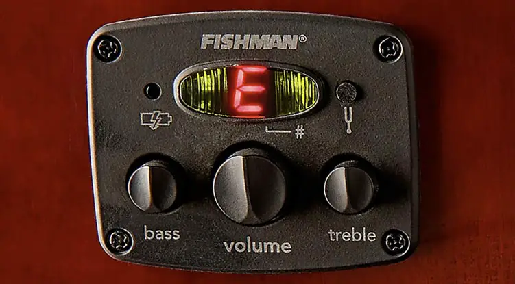 Fishman ION-T Preamp & Tuner