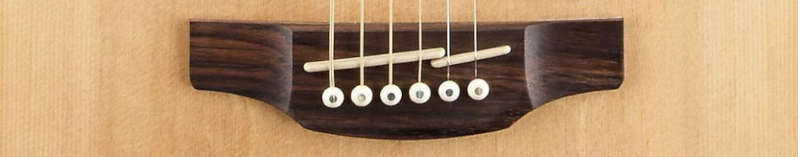 Takamine guitar split bridge