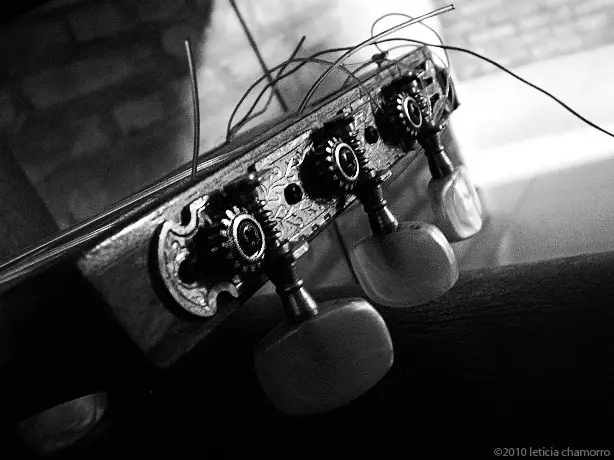 nylon string guitar tuning pegs black and white photo